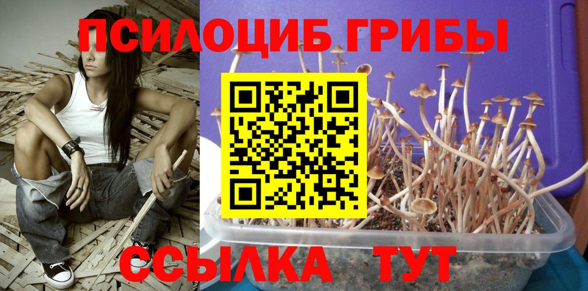 Красноперекопск  где продают   Вход с VPN  Галлюциногенные грибы GOLDEN TEACHER 